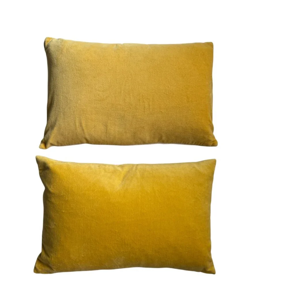 Crate & Barrel Briar Pillows 18